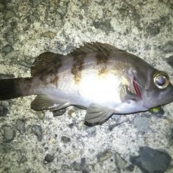 急激に訪れた寒さの中……