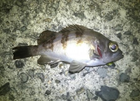 急激に訪れた寒さの中……