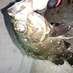 天候不良の前に