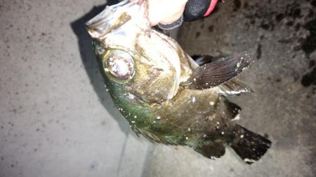 天候不良の前に