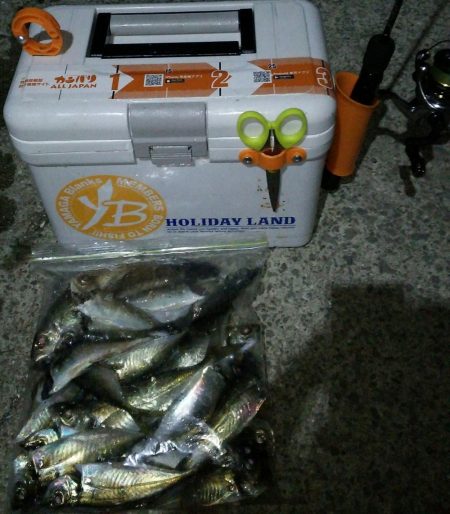 満員御礼の福良アジング