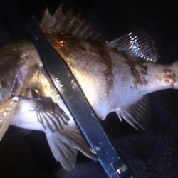 友達と短時間メバリング