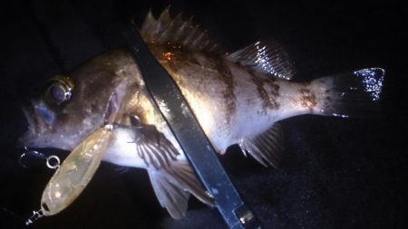 友達と短時間メバリング