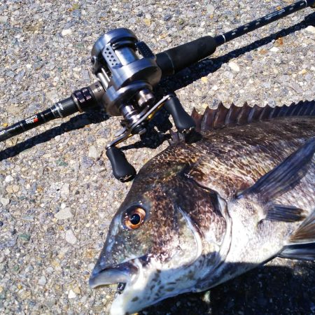 ソルトベイトフィネス