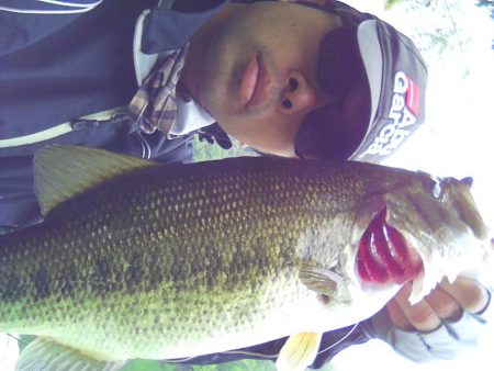 高山ダム釣れ始めています