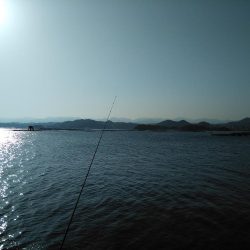 やっと行けた！