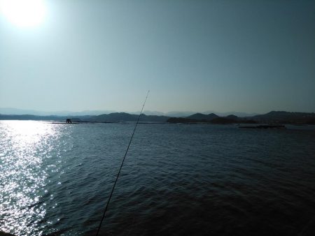 やっと行けた！