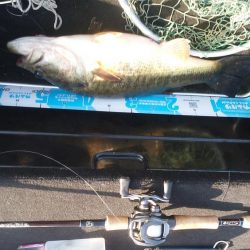 ＧＷ初日シヤーロー好調