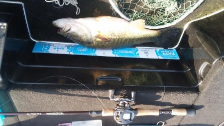 ＧＷ初日シヤーロー好調