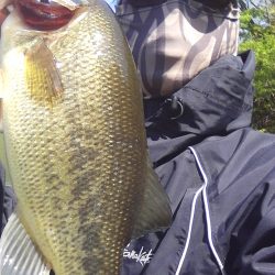 ４月２９日の釣果