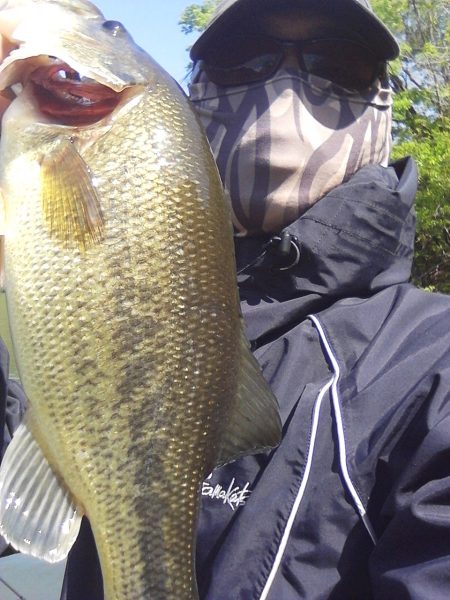 ４月２９日の釣果