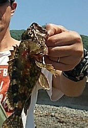 濁り以外は悪くないのに