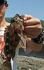 濁り以外は悪くないのに