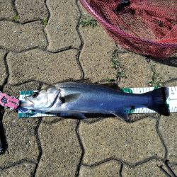 粘って、粘って