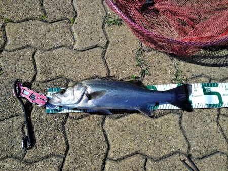 粘って、粘って