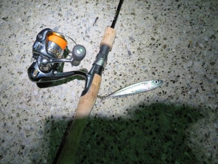 この時期のメバルはグッドサイズ！