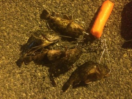 ボトムアタッカー