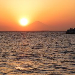 トラウトロッドでシーバスゲット！