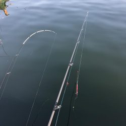 田尻の釣堀で。