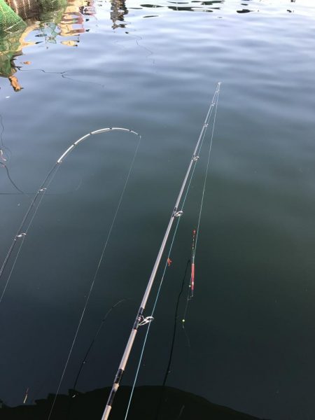田尻の釣堀で。