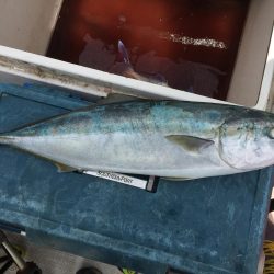 水温も上がってきて活性高まる。