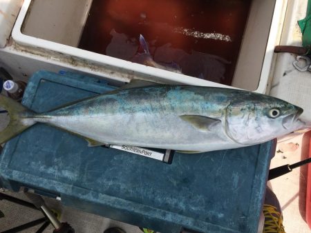 水温も上がってきて活性高まる。