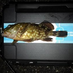 GWのメバリング