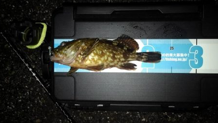 GWのメバリング