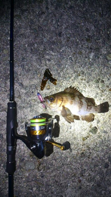 プラッキングで初ゲット