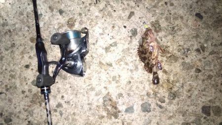 タケノコ狩り♪