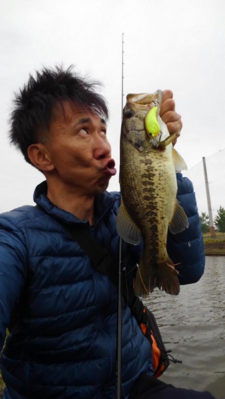 クランク巻き巻き