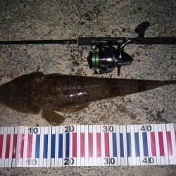 チニングの外道