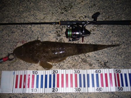 チニングの外道