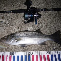 荒れてたので外海シーバス狙いにて