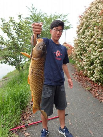 コメ式 パン鯉ゲーム