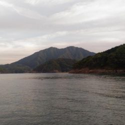 そろそろアオリ