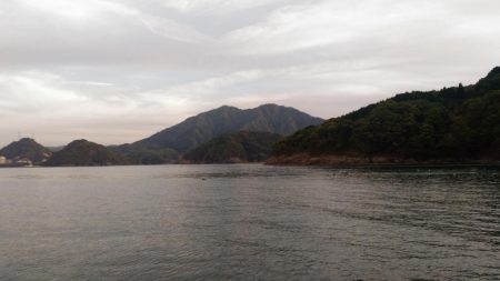 そろそろアオリ