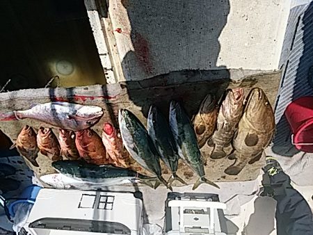 大物釣果速報！●光義丸：平戸市早福港