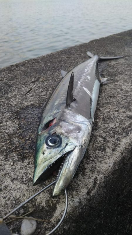 ショアジギング　富山