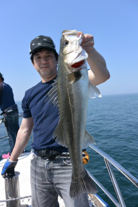 ジギング船 BLUEWATER 釣果