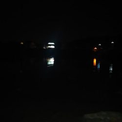 庄内湖 クロダイ