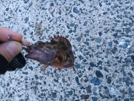 超ライトゲーム、おまけ付