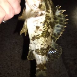 苦手意識克服戦!!