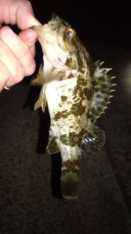 苦手意識克服戦!!