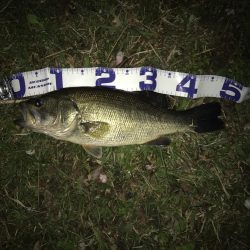 まだまだ絶好調