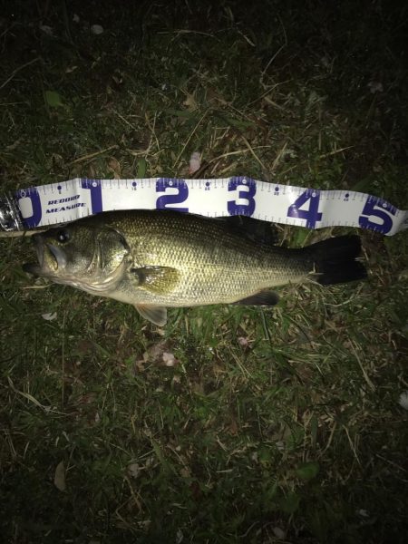 まだまだ絶好調