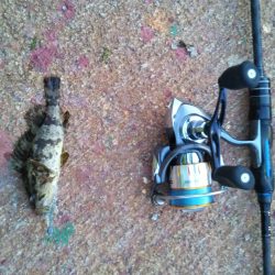 先輩ロストヴァージン釣行