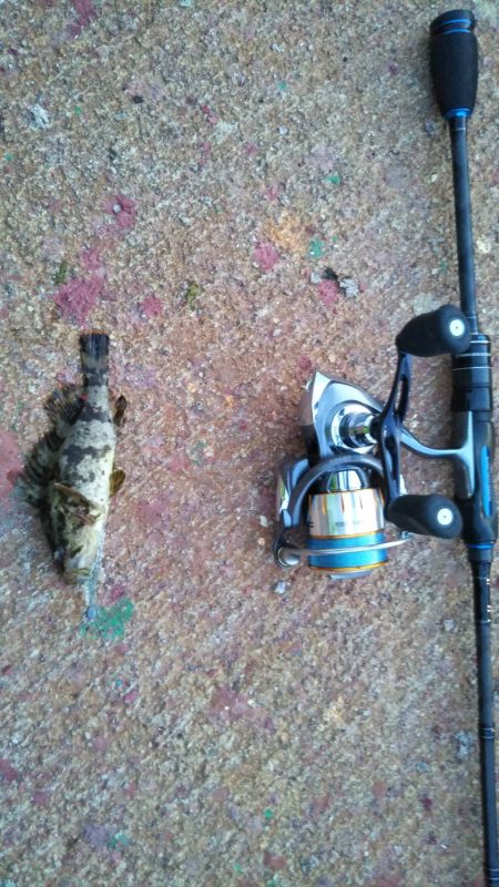 先輩ロストヴァージン釣行