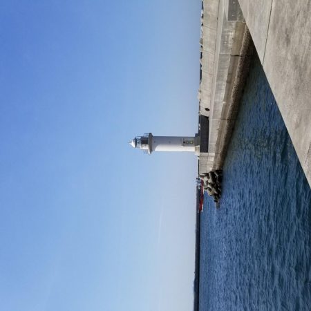 ようやく釣れた