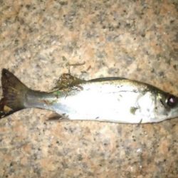 13日の金曜日　第2ラウンド